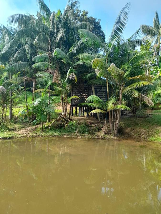 Cabanas Dechi Puerto Narino Exterior photo